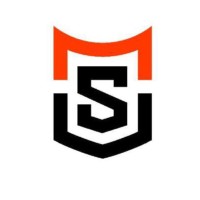 Secura Web Data Labs Pvt Ltd logo - Similar company to Metasync