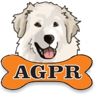 Appalachian Great Pyrenees Rescue