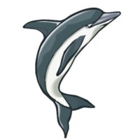 Wilmington Safety School logo - Similar company to Haynes Construction