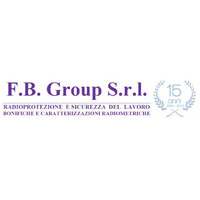 F.B. Group S.r.l. logo - Similar company to Energy Store
