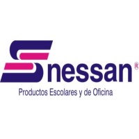 NESSAN SAS logo - Similar company to Tekzow Academy