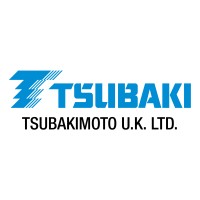 Tsubakimoto U.K. Ltd. logo - Similar company to Cloudworks It Support