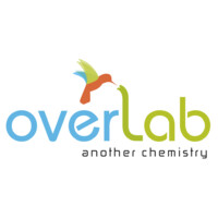 OVERLAB logo - Similar company to Heiwit S.P.A.