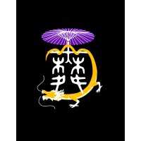 Illuminations Dance Troupe logo - Similar company to Cheersmate