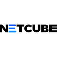 Netcube, Inc. logo - Similar company to Amoeba Labs