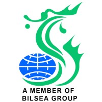 BILSEA INTERNATIONAL PTE LTD logo - Similar company to Hiin Holdings