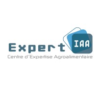 ExpertIAA logo - Similar company to Strategia Sàrl