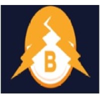 BALAJI INSTRUMENTS & ELECTRIC AGENCIES logo - Similar company to Famous Mind