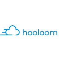 Hooloom logo - Similar company to Maxus Capital Group, Llc