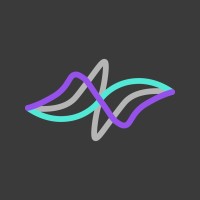 Silva Ray logo - Similar company to Rtcon