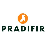 PRADIFIR, S.L. logo - Similar company to Iesglobal