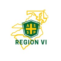 Region VI - American Society of Safety Professionals logo - Similar company to Triangle Safety Consulting Llc
