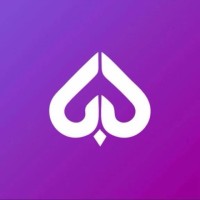 Ace Capital logo - Similar company to The Qualified Adjunct