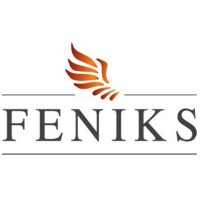 Feniks Limited logo - Similar company to Ebii Group Corp.