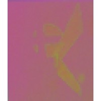 CK Architecture logo - Similar company to Plus Architecture