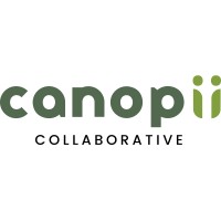 Canopii Collaborative logo - Similar company to Jetsontek