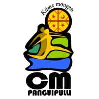 Corporación Municipal de Panguipulli logo - Similar company to Logobrain