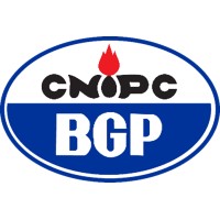 BGP International logo - Similar company to Arpenture Consultant Limited
