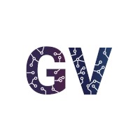 Graphvertex logo - Similar company to Data Zen Community