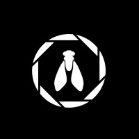 Tábano Films logo - Similar company to Tábano | Agencia De Marketing Digital, Desarrollo Web Y Posicionamiento Online