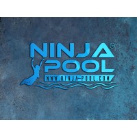 Ninja Pool logo - Similar company to Houston Process Servers, Llc