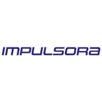 IMPULSORA EN INTEGRACION DE SISTEMAS logo - Similar company to Wks Door Systems