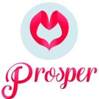 Prosper - Consulting For Non-Profit Solutions logo - Similar company to Camp Via West