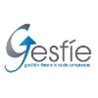 Gesfíe Consultores logo - Similar company to It Digittal