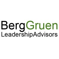 BergGruen Consulting AG logo - Similar company to Upskilled