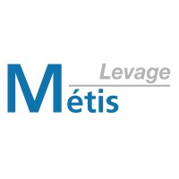 Metis Levage logo - Similar company to Debit Express
