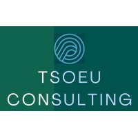 Tsoeu Consulting (PTY)LTD logo - Similar company to Winfluential Consulting (Pty)Ltd