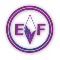 Ember Flash Aerospace, Inc. logo - Similar company to Blackbee Robotics