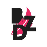 BDZ Agência logo - Similar company to Surto - Marketing Inteligente