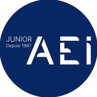 AEI - Aquitaine Électronique Informatique logo - Similar company to Géoenvireau Études (G3E)
