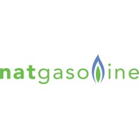 Natgasoline LLC. logo - Similar company to Bryce River Foundation