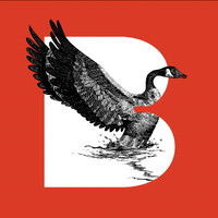 Bellwether Brand Consultancy