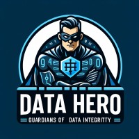 Data Hero logo - Similar company to Data Heroes