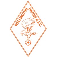 Wellington United AFC logo - Similar company to Sweat With Pride