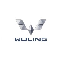 WULING JORDAN logo - Similar company to Infusion Technologies