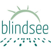 blindsee.io logo - Similar company to Slh Control