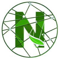 Nanomik Biotechnology logo - Similar company to Synbiotik Biotechnology