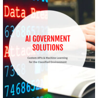 AI Government Solutions logo - Similar company to Egovernment Solutions