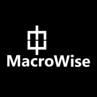 Macrowise logo - Similar company to Kla Floripa