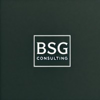 BSG Consulting logo - Similar company to Building Services Group Ltd