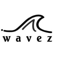 Wavez Consulting logo - Similar company to Mdms