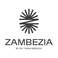ZAMBEZIA logo - Similar company to Sticla.Me