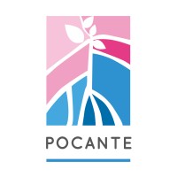 Rede Pocante logo - Similar company to Instituto Peb