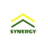 Synergy Club logo - Similar company to Top India Elevator Pvt Ltd