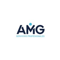 AMG Servicios Profesionales logo - Similar company to Grupo Amg