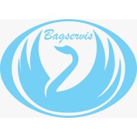 GRUPO BAGSERVIS logo - Similar company to Grupo Ormasan
